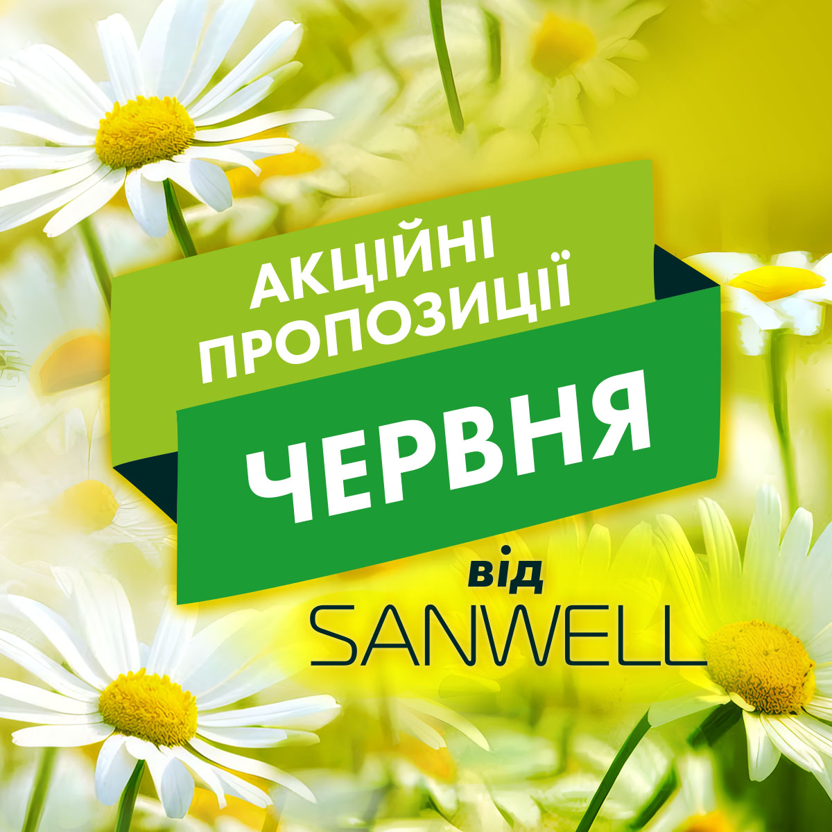 Файл з акціями